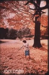 Autumn fallen leaves 48