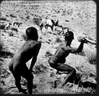 Bushman hunters 62
