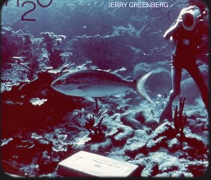 Diver with fish 78