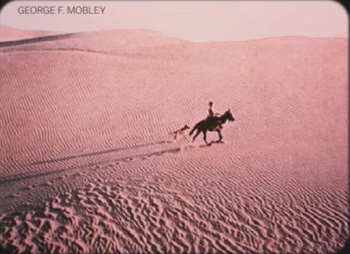 Sand dunes 44