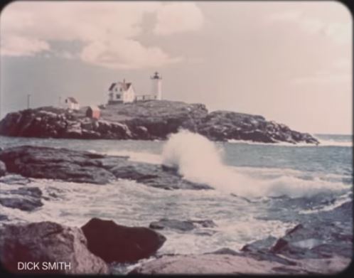 Seashore Maine 42