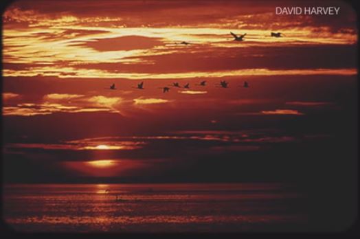 Sunset with birds 114